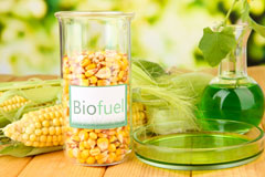 Maesyrhandir biofuel availability