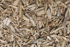 biomass boilers Maesyrhandir