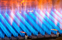 Maesyrhandir gas fired boilers
